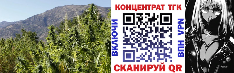 Дистиллят ТГК THC oil Губаха